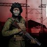 DayZ International